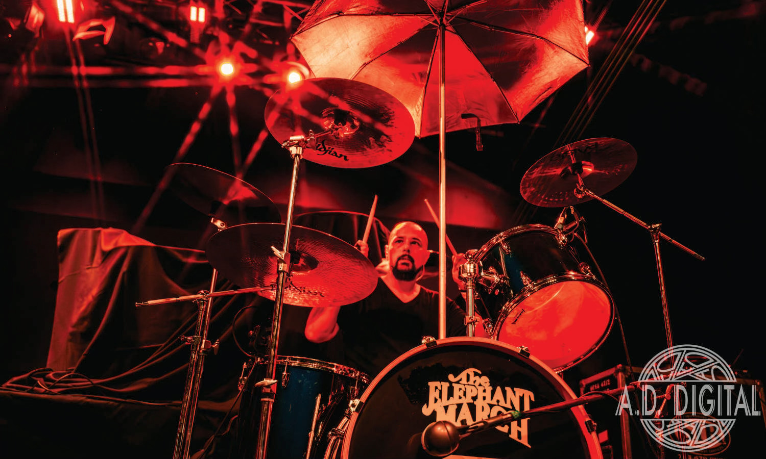 The Elephant March Photo 2