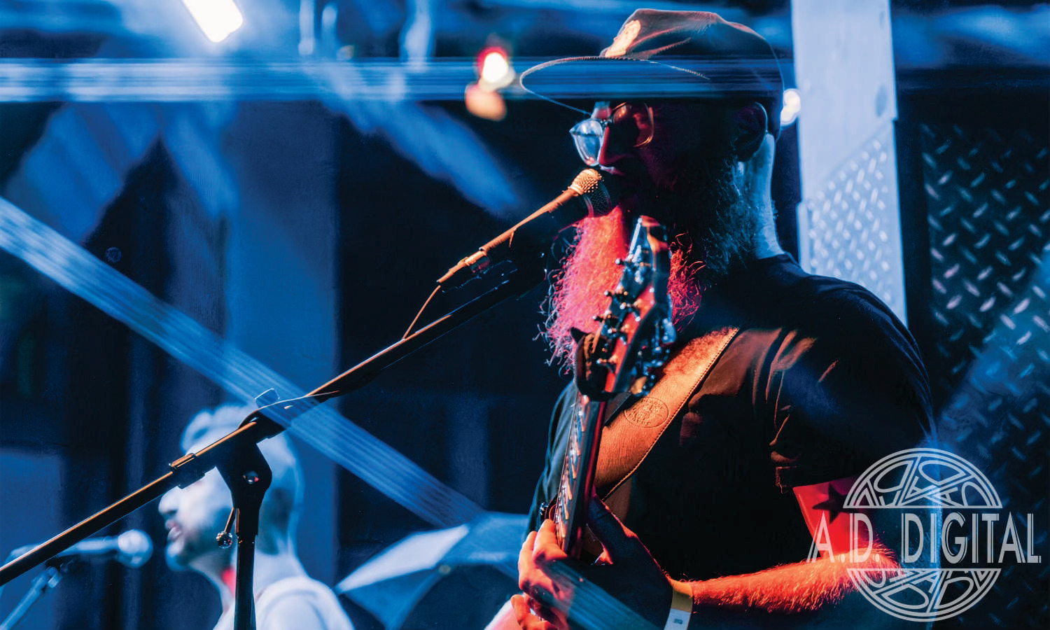 The Elephant March Photo 3