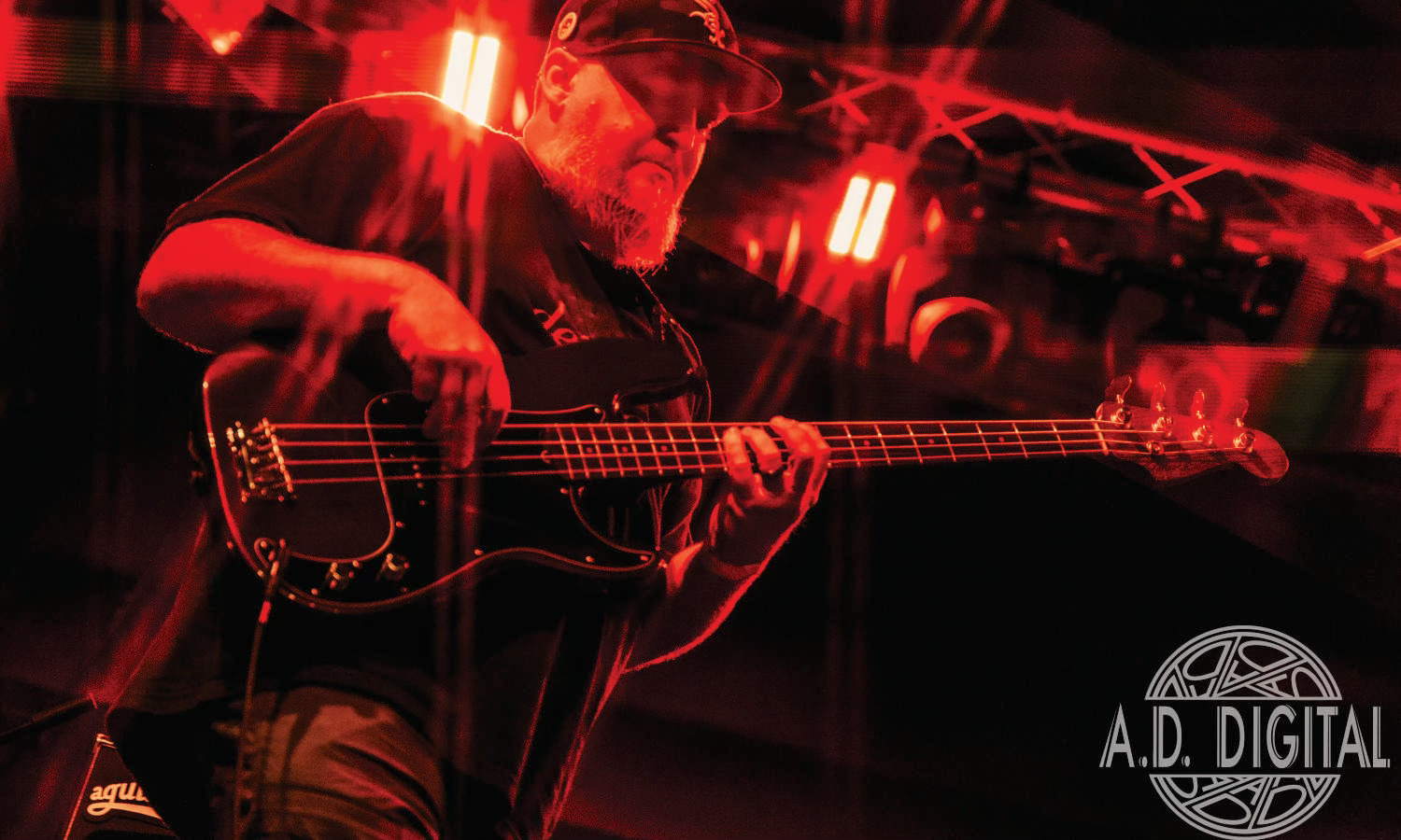 The Elephant March Photo 4