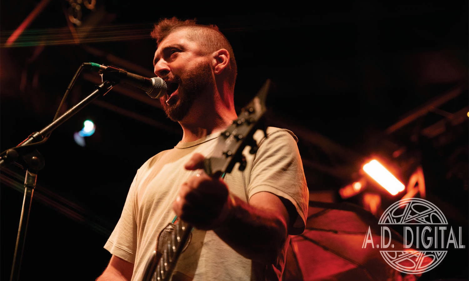 The Elephant March Photo 5