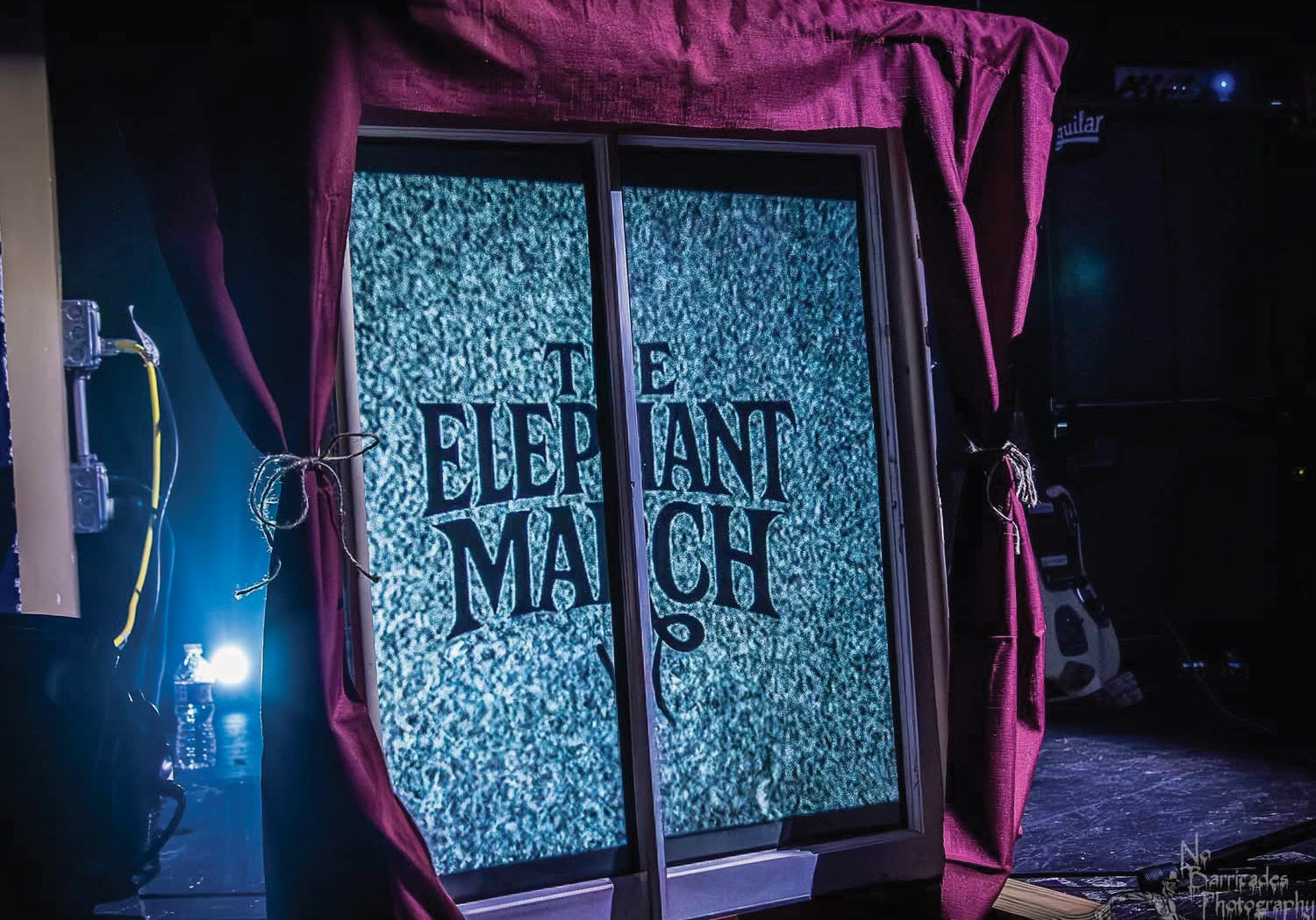 The Elephant March Photo 6